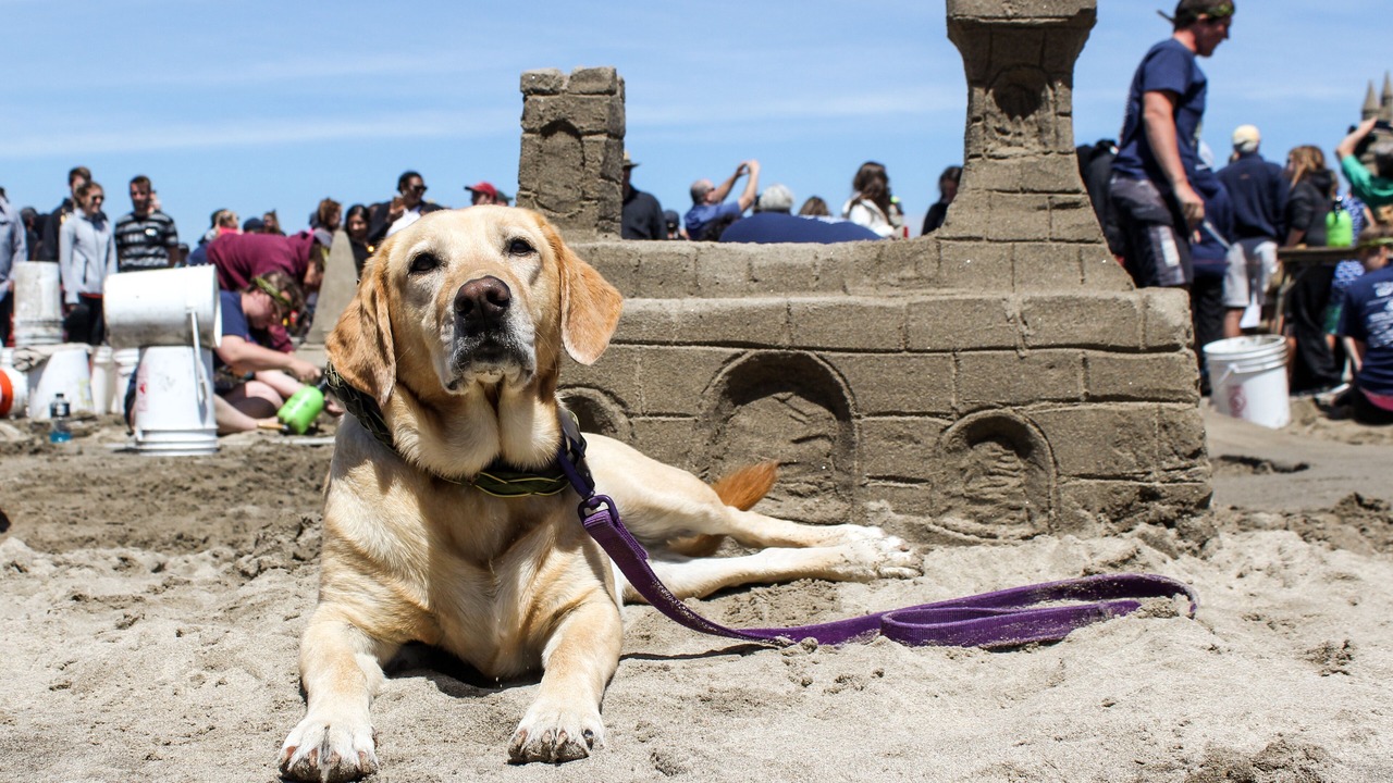 Photo of Others in Downtown Cannon Beach