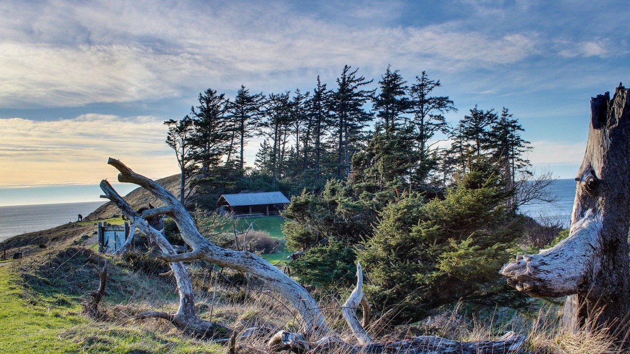 Photo of Outdoor in Downtown Cannon Beach