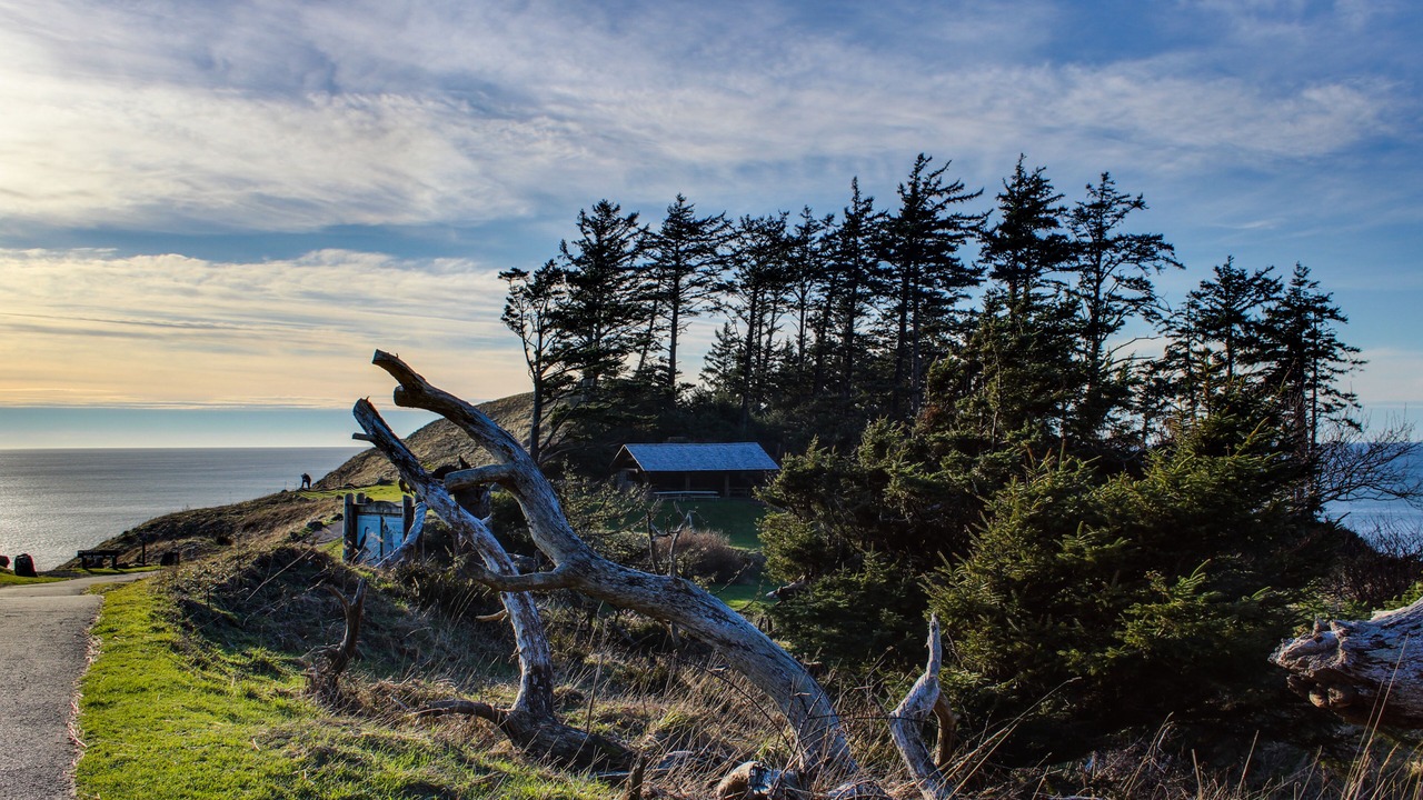 Photo of Others in Downtown Cannon Beach