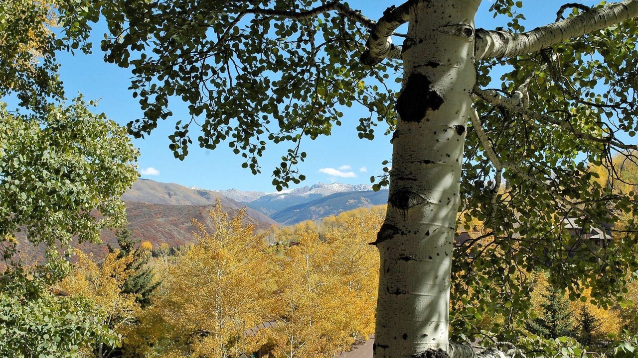 Photo of Patio Balcony in Snowmass Village