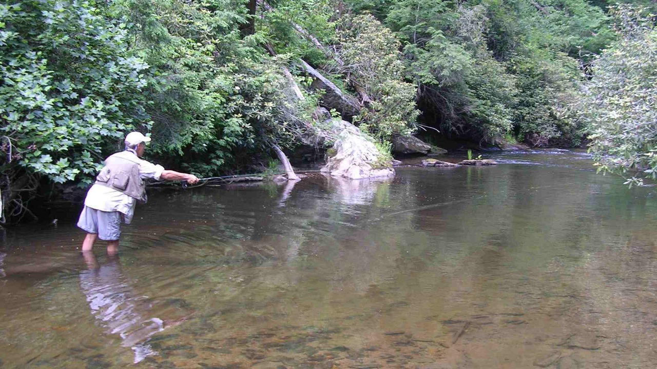 Photo of Others in Mineral Bluff