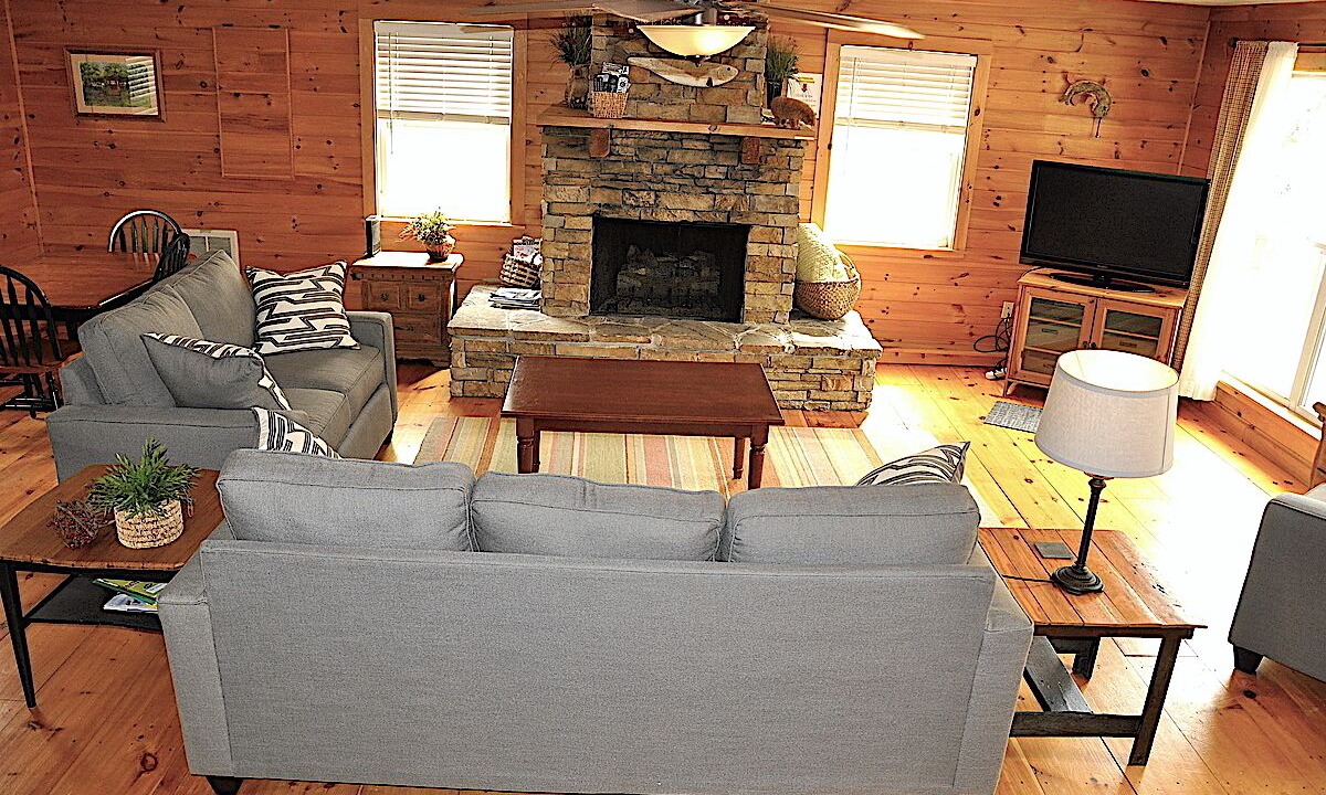 Photo of Livingroom in Mineral Bluff