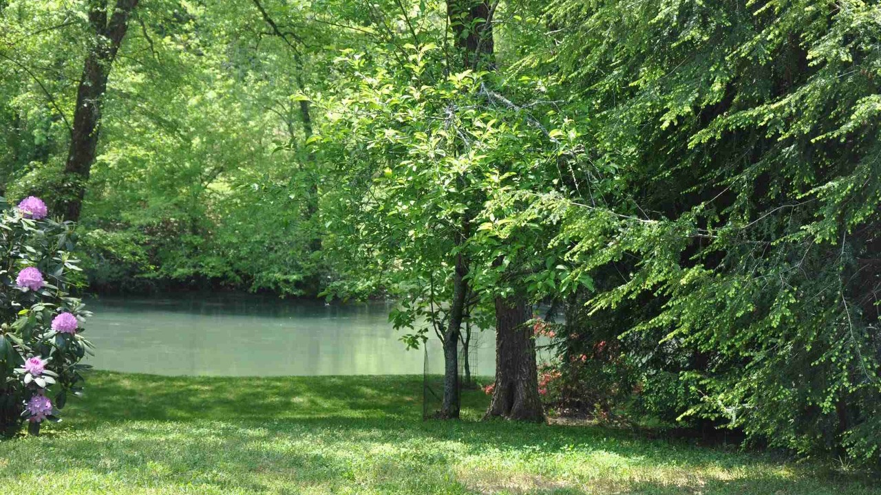 Photo of Others in Mineral Bluff