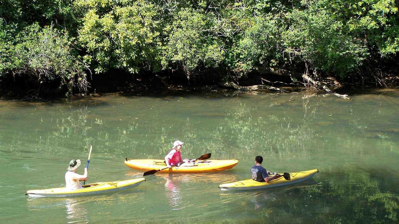 Photo of Others in Mineral Bluff