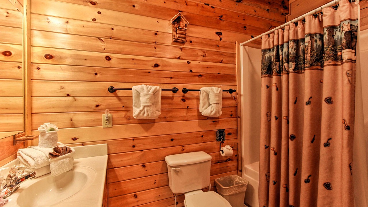 Photo of Bathroom in Sevierville