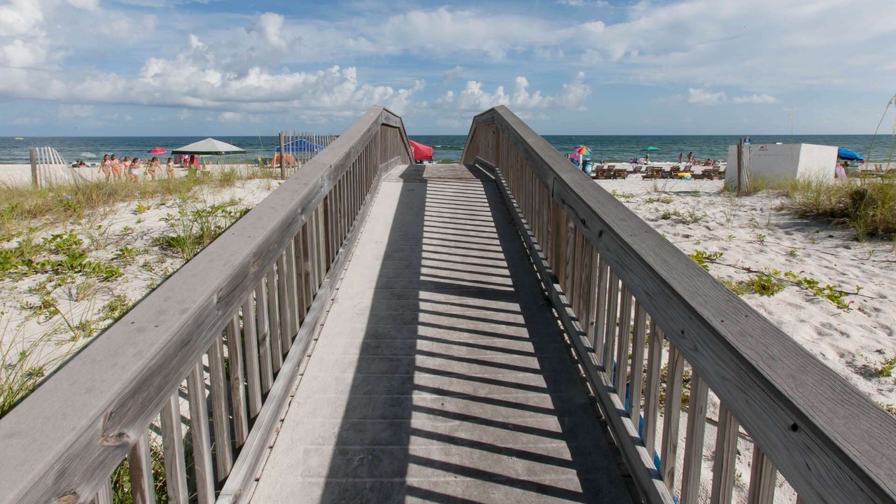 Photo of Others in Gulf Shores