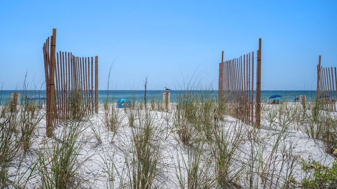 Photo of Others in Gulf Shores