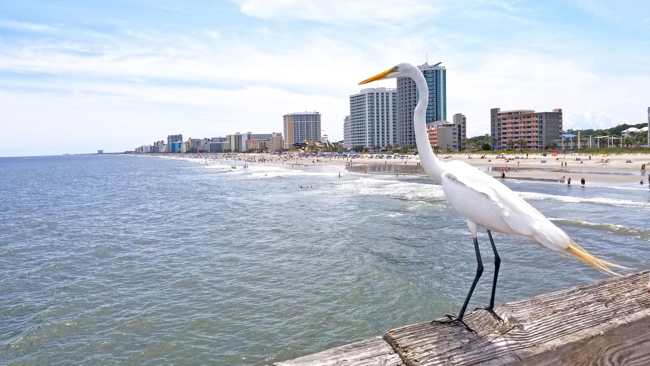 Photo of Others in Downtown Myrtle Beach