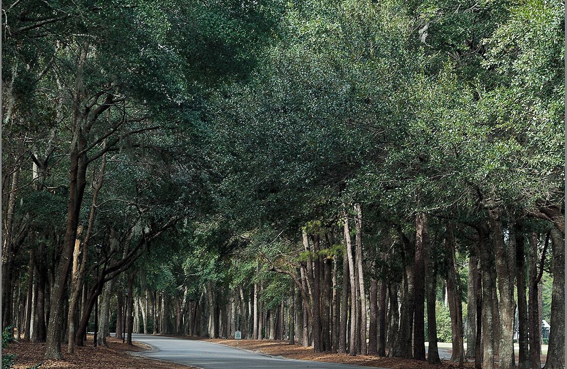 Photo of Others in Pawleys Island