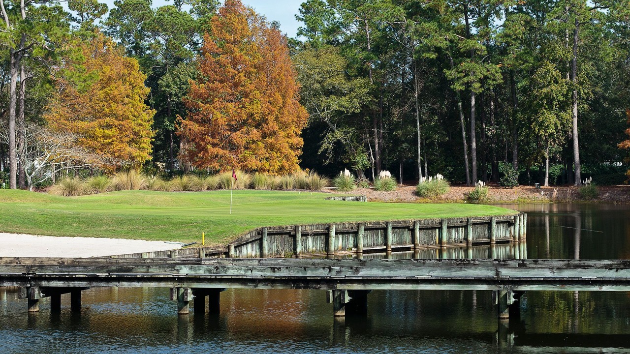 Photo of Others in Pawleys Island
