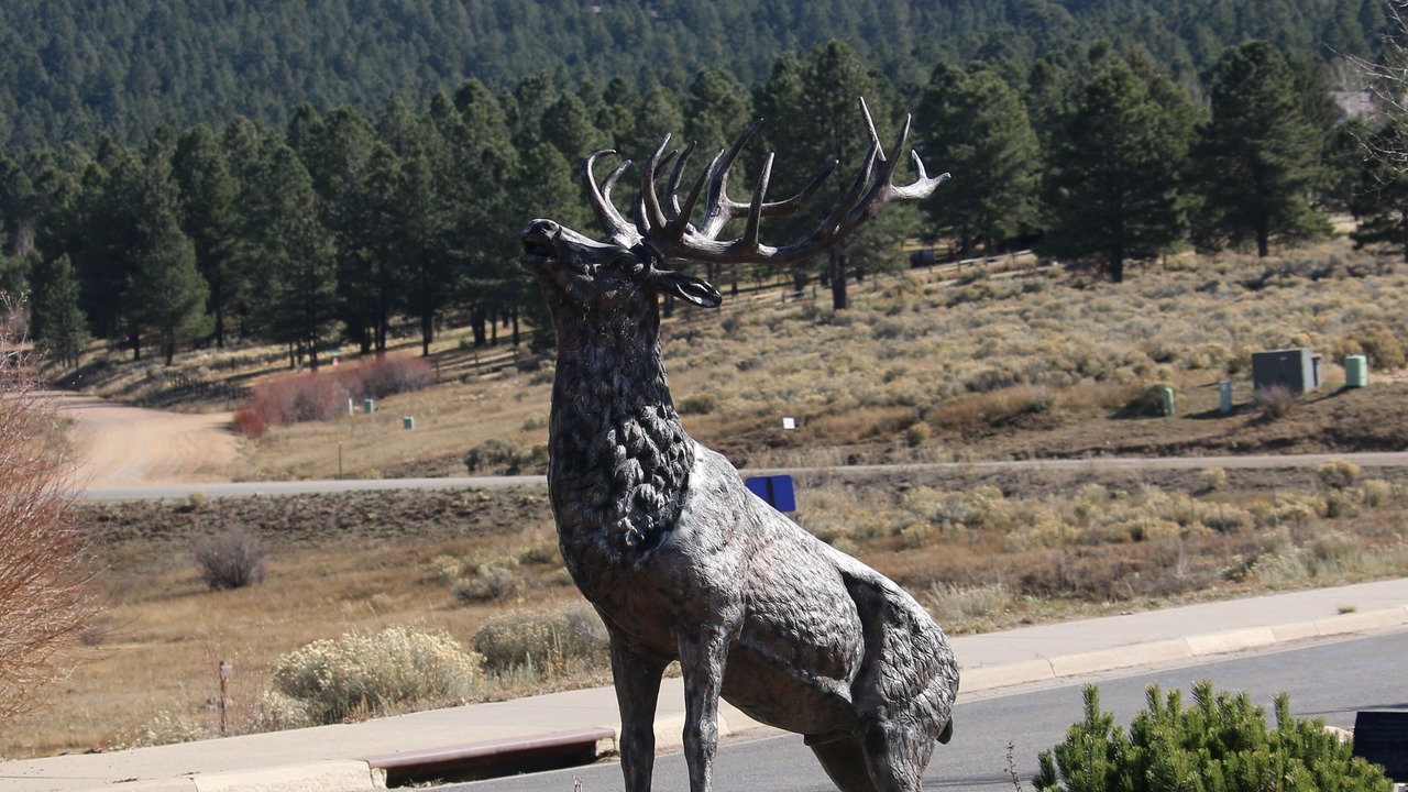 Photo of Others in Angel Fire
