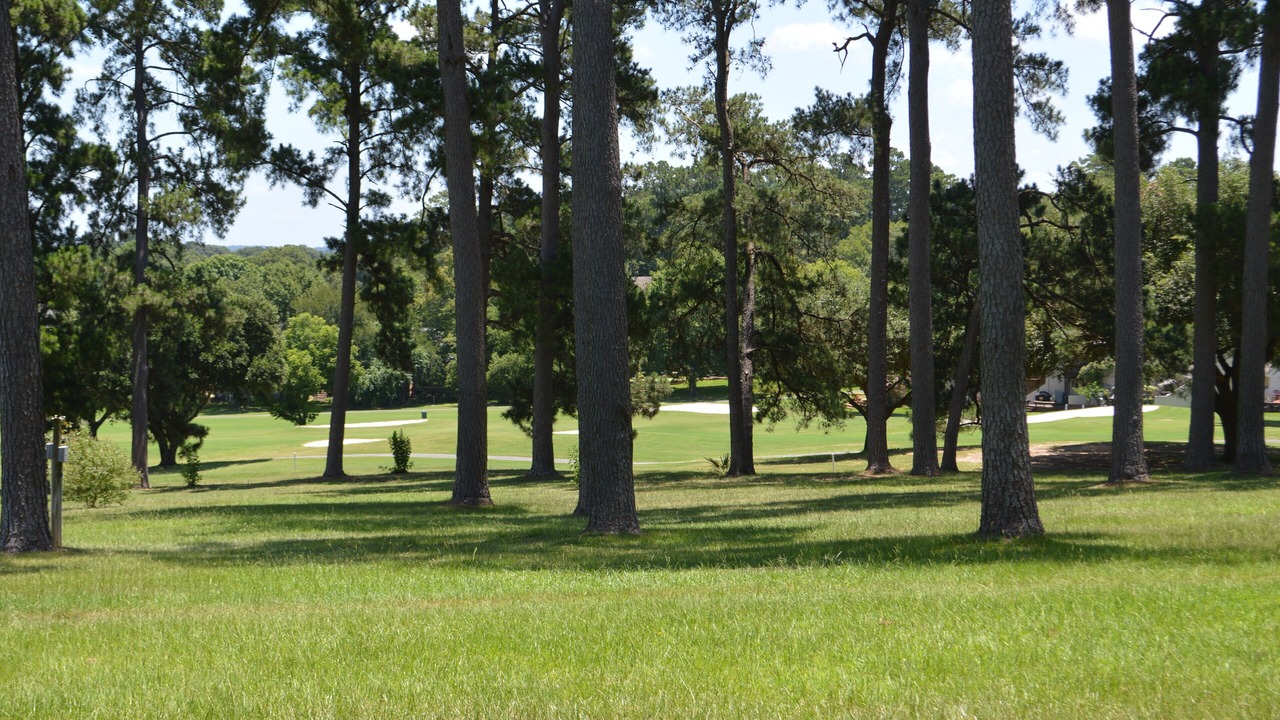 Photo of Others in Montgomery