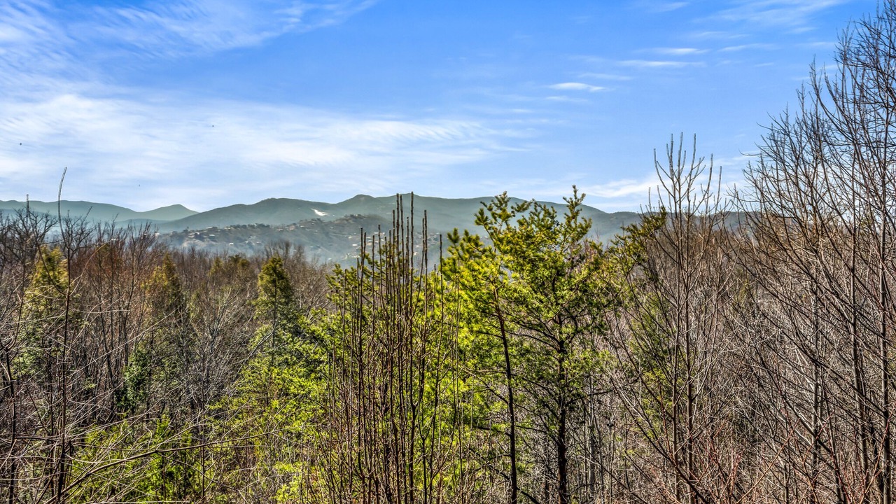 Photo of Others in Gatlinburg - Pigeon Forge