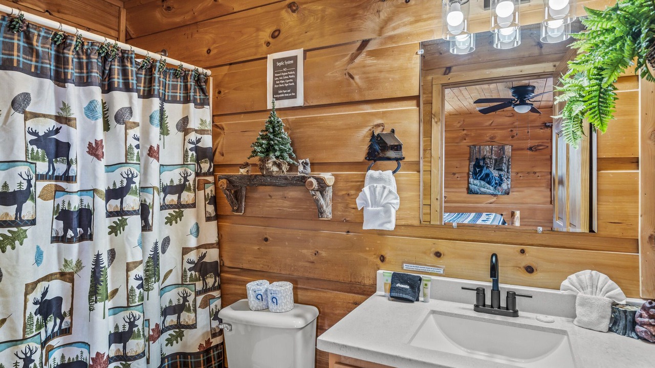 Photo of Bathroom in Gatlinburg - Pigeon Forge