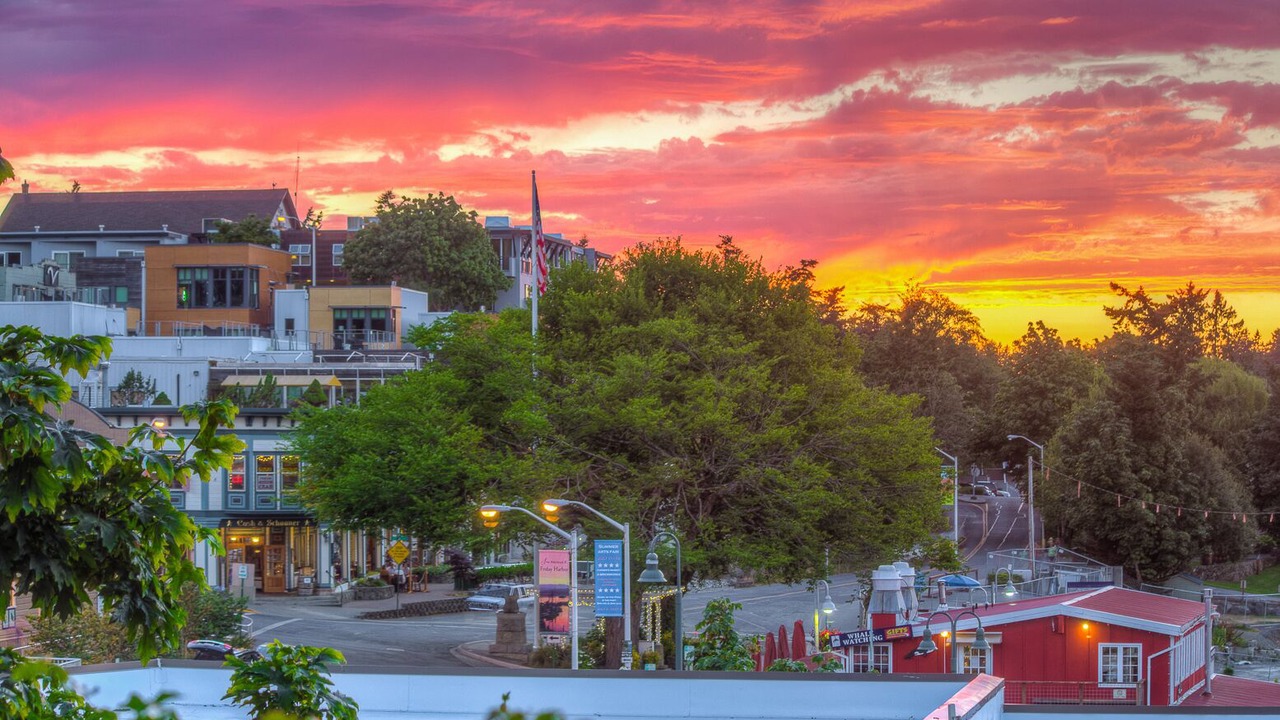 Photo of Others in Friday Harbor