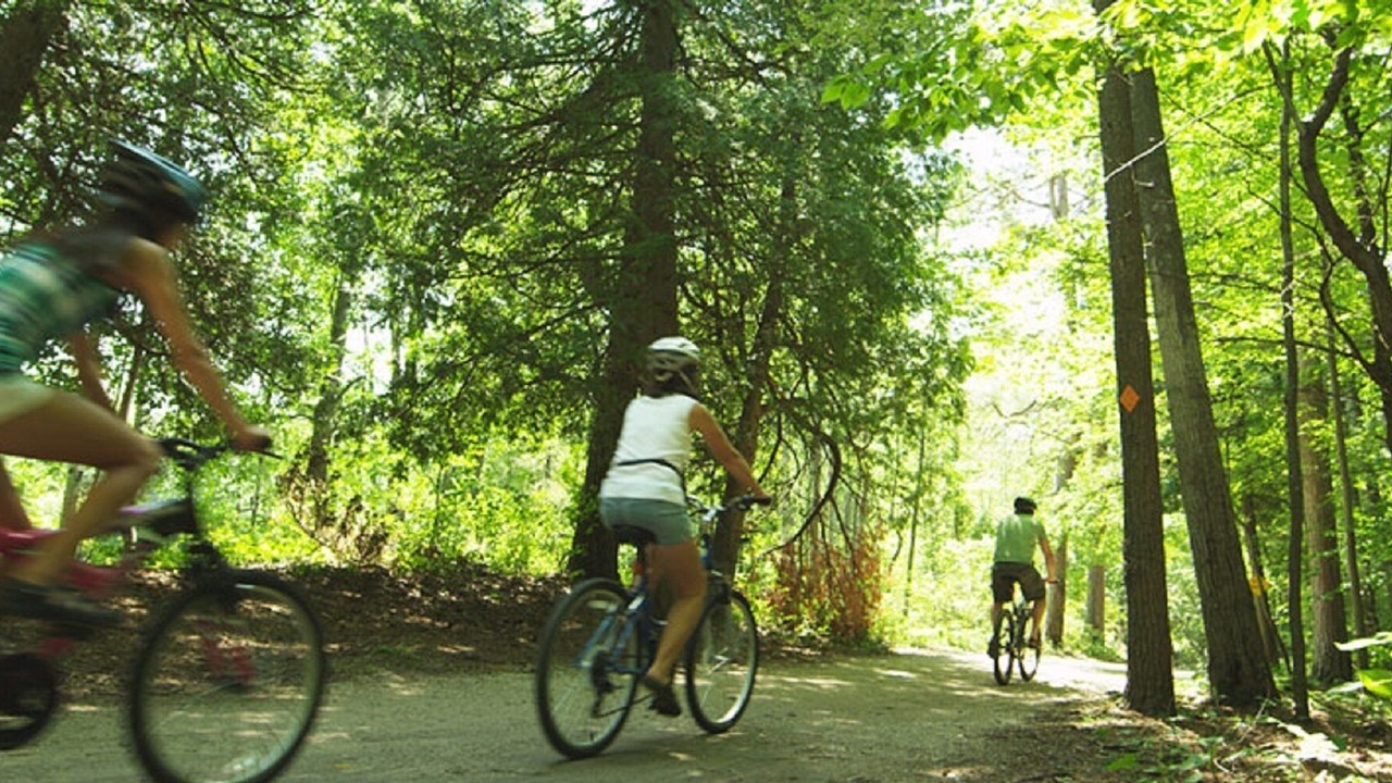 Photo of Others in Fish Creek
