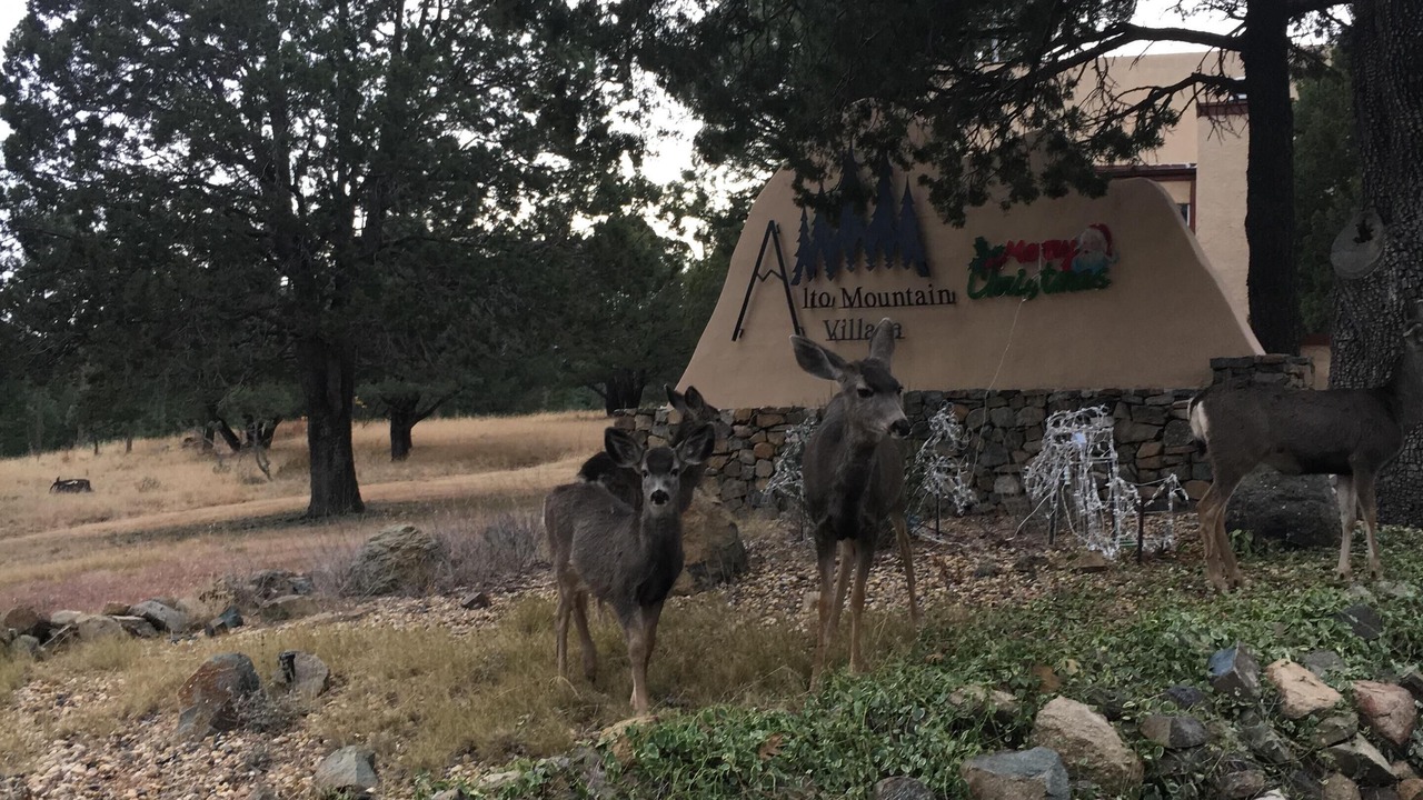 Photo of Outdoor in Alto