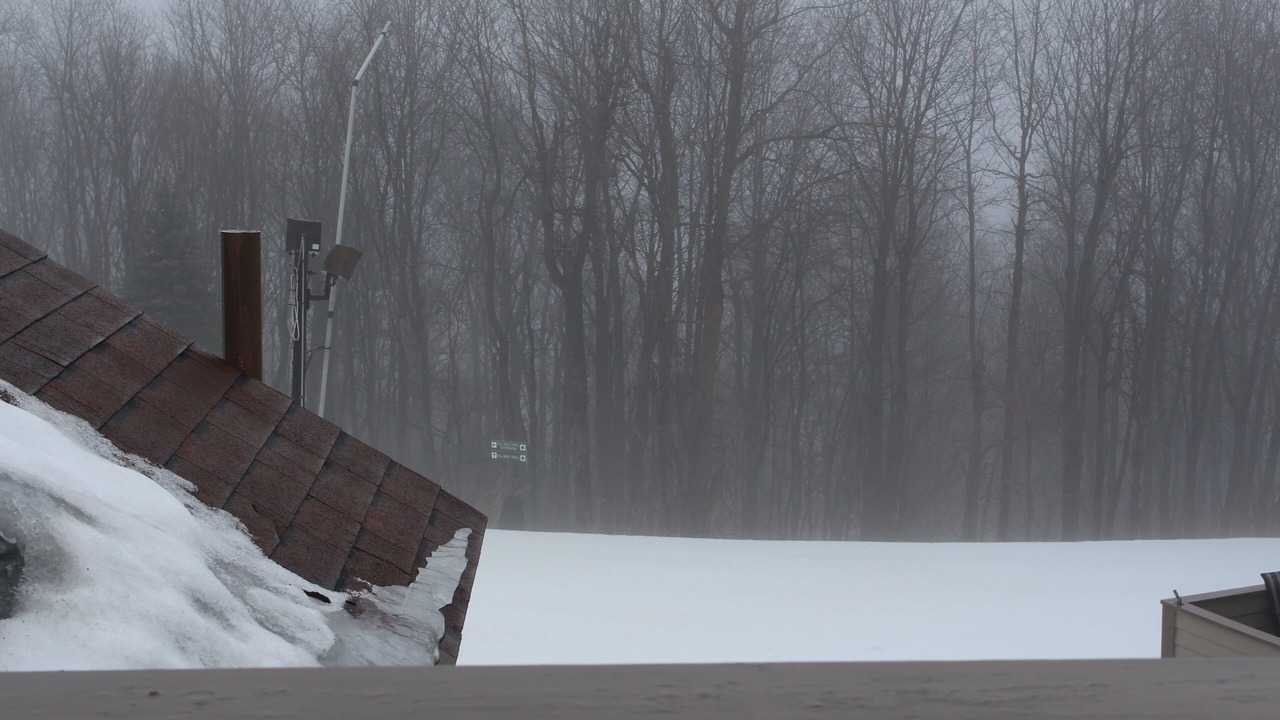Photo of Others in Seven Springs