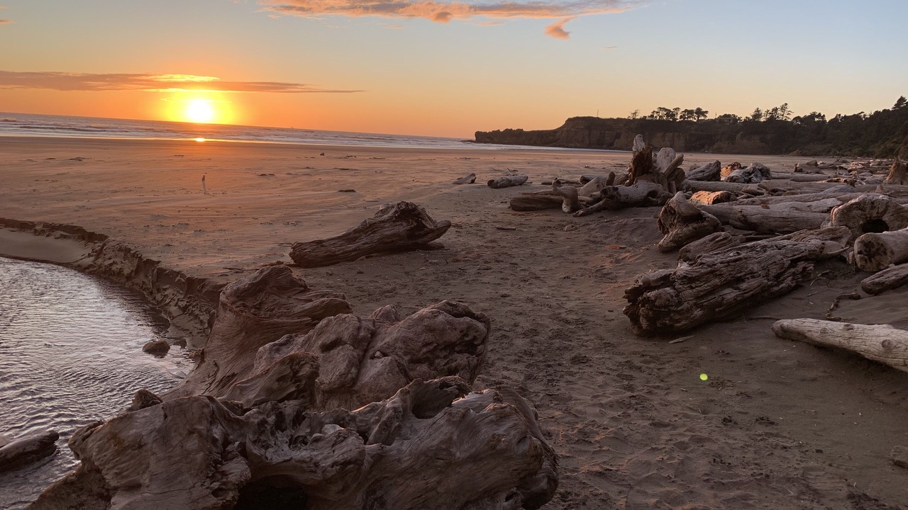 Photo of Others in Otter Rock