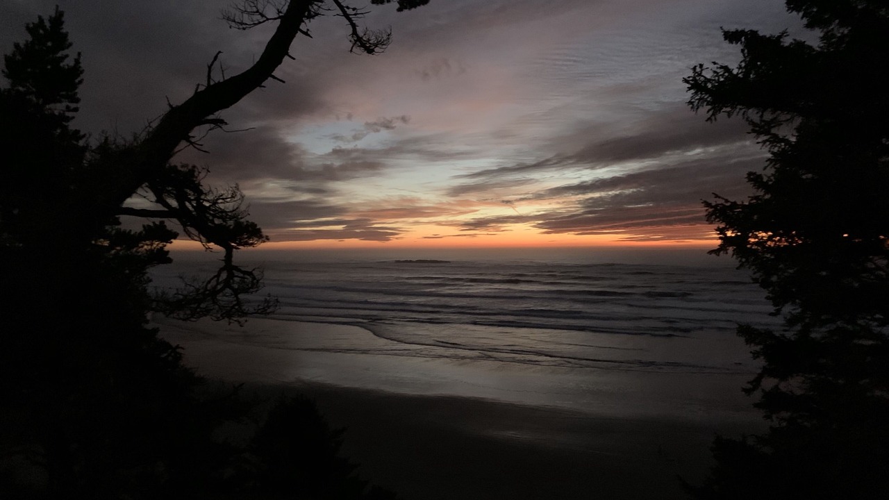 Photo of Others in Otter Rock