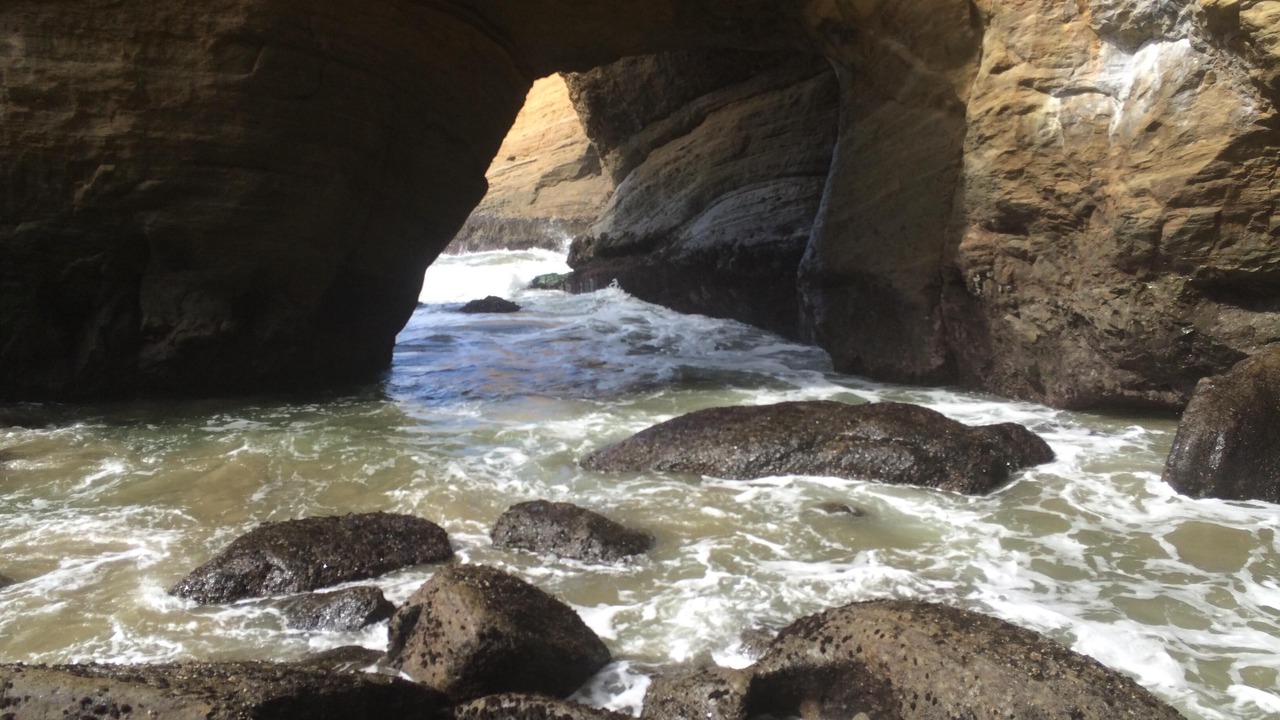 Photo of Others in Otter Rock