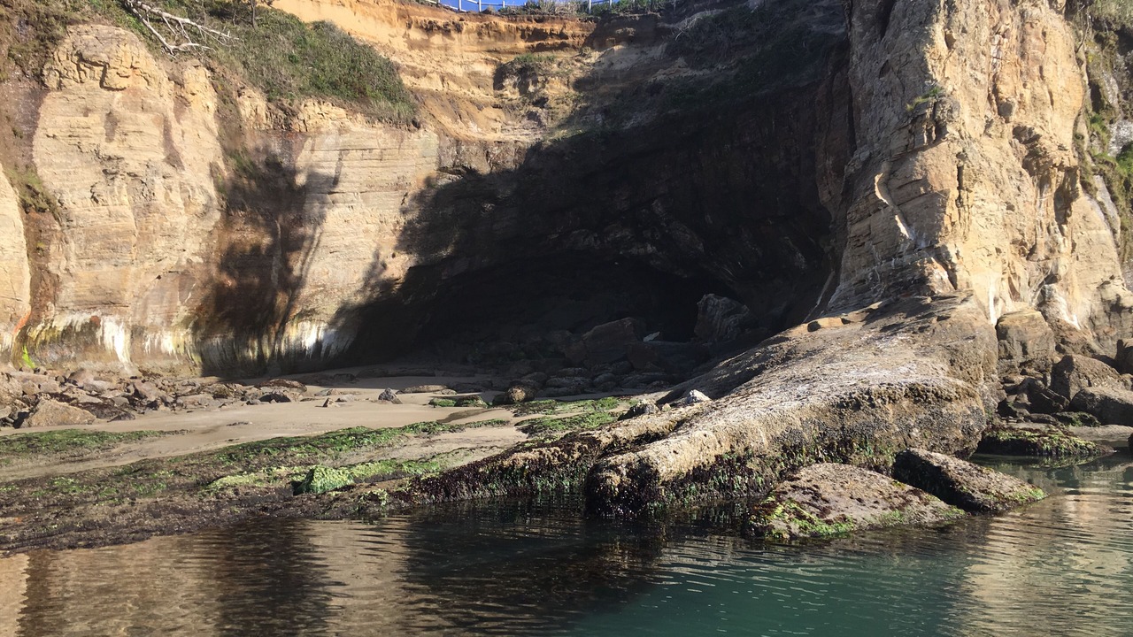 Photo of Others in Otter Rock
