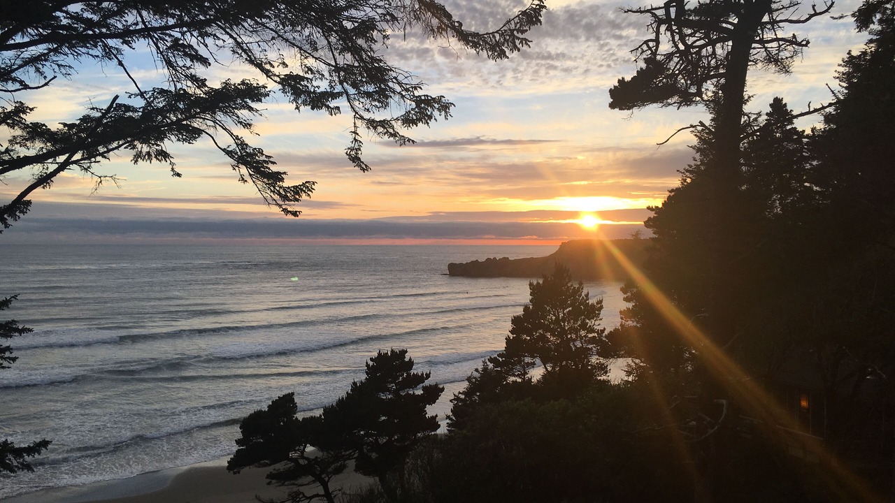 Photo of Others in Otter Rock