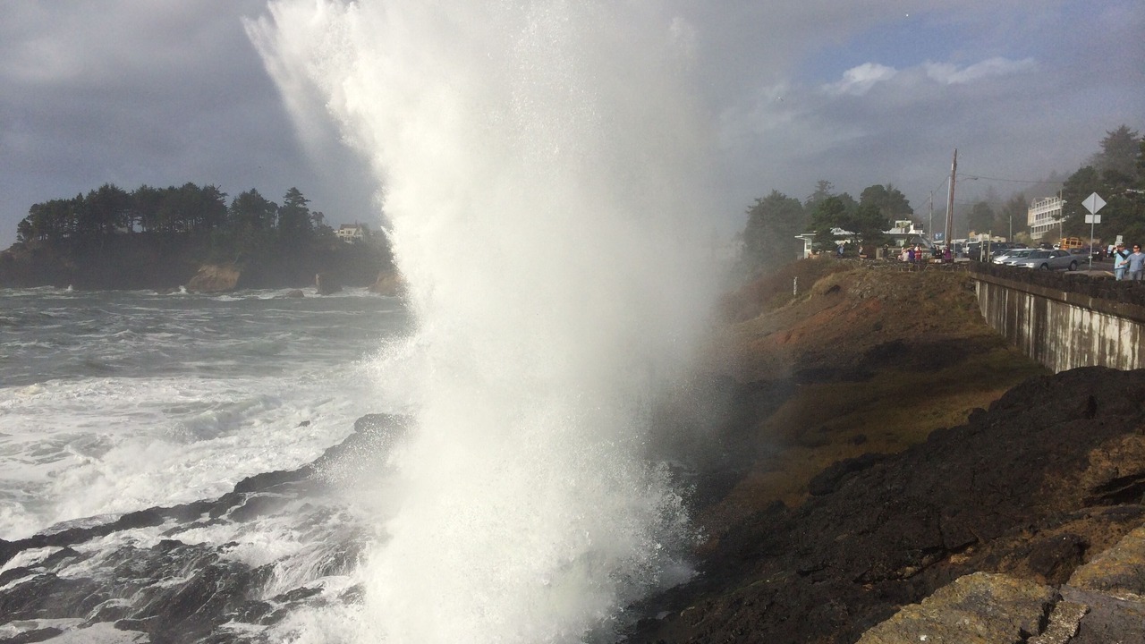 Photo of Others in Otter Rock