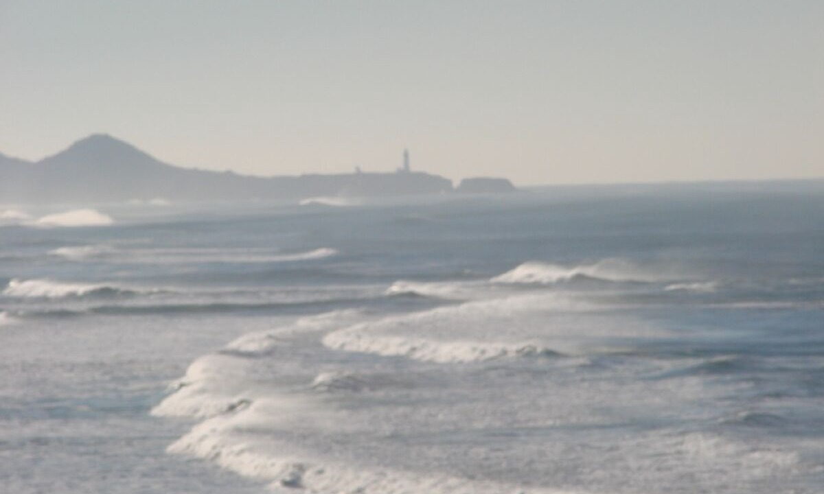 Photo of Others in Otter Rock
