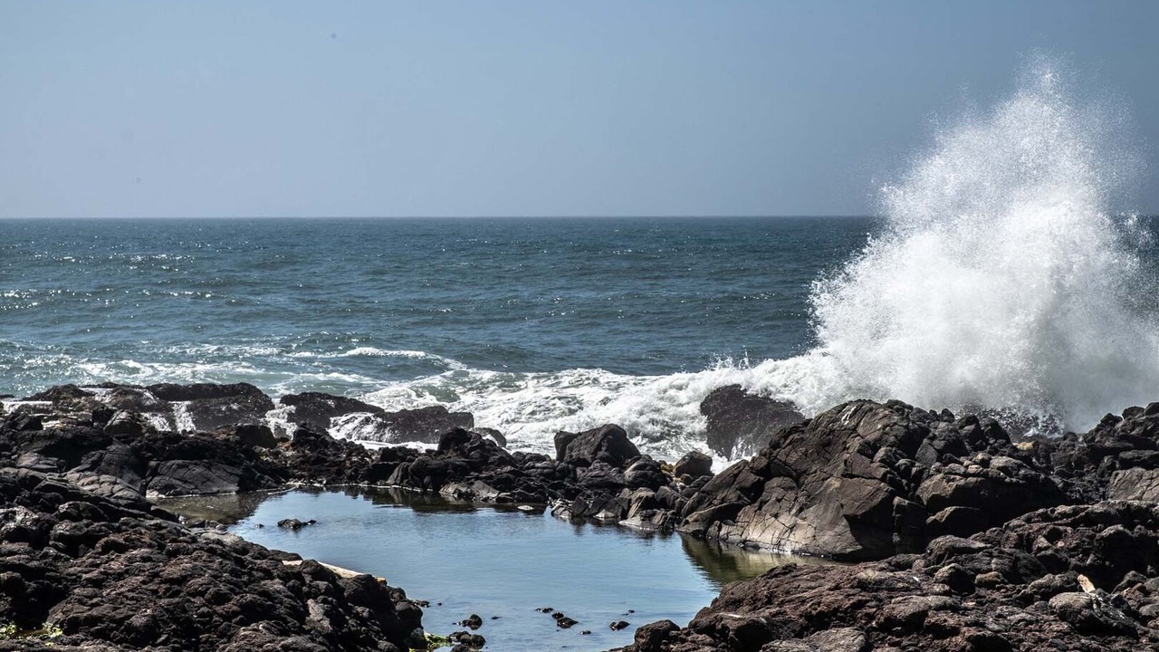 Photo of Others in Yachats