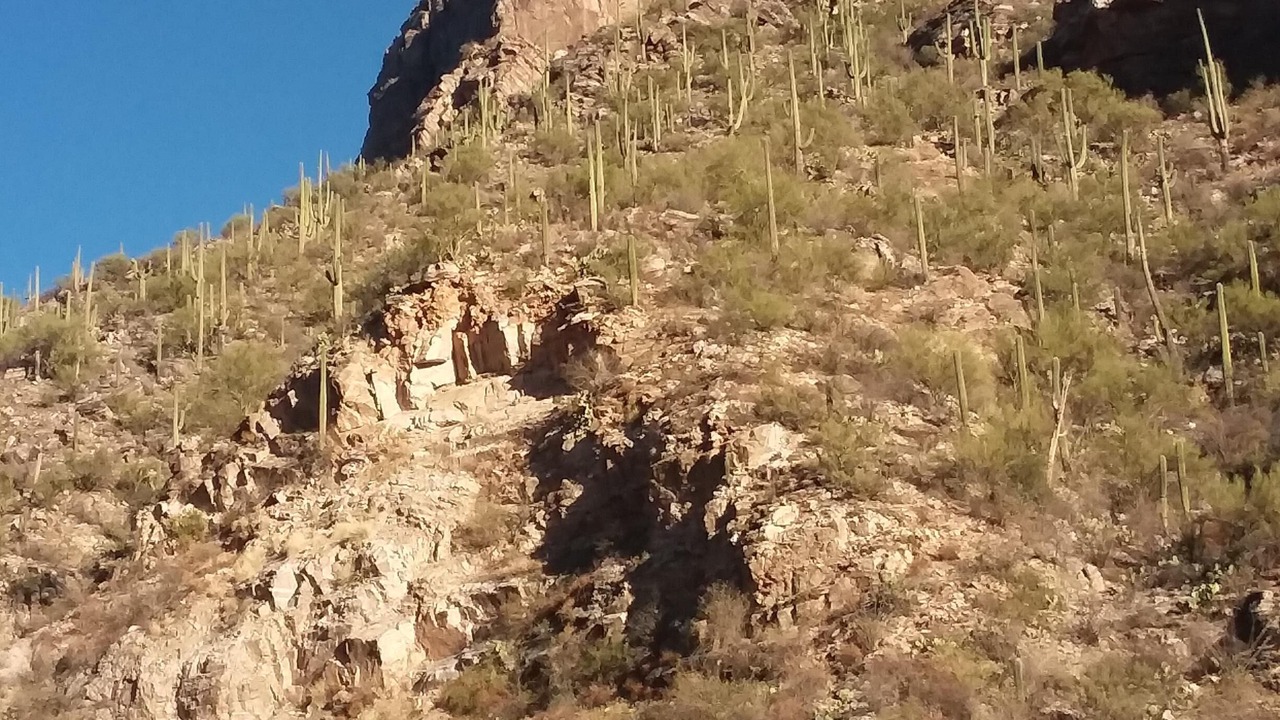 Photo of Others in Tucson