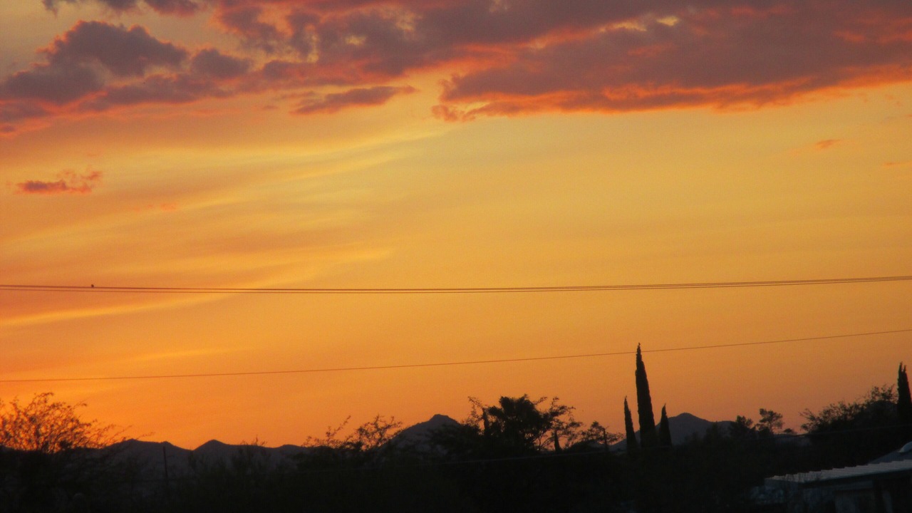Photo of Others in Tucson