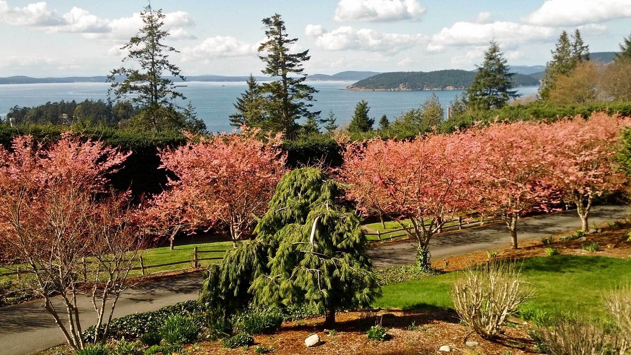 Photo of Others in Anacortes
