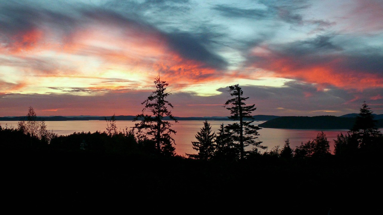 Photo of Others in Anacortes