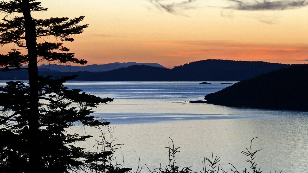 Photo of Others in Anacortes