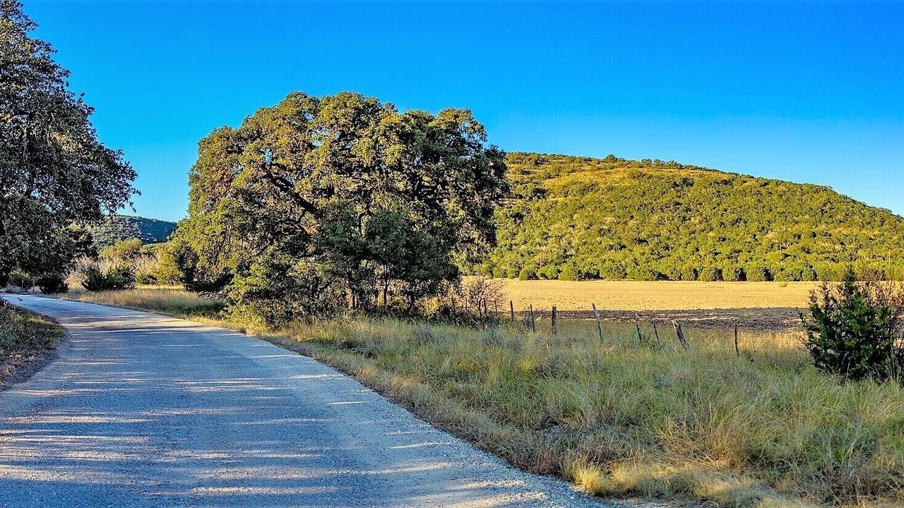 Photo of Others in Leakey