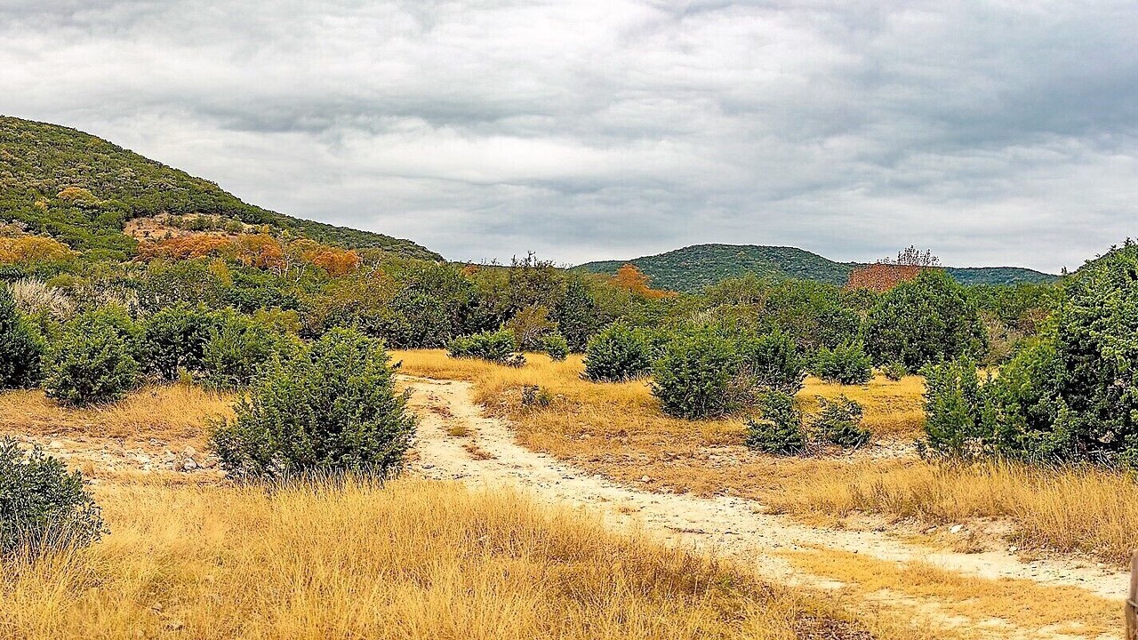 Photo of Others in Leakey