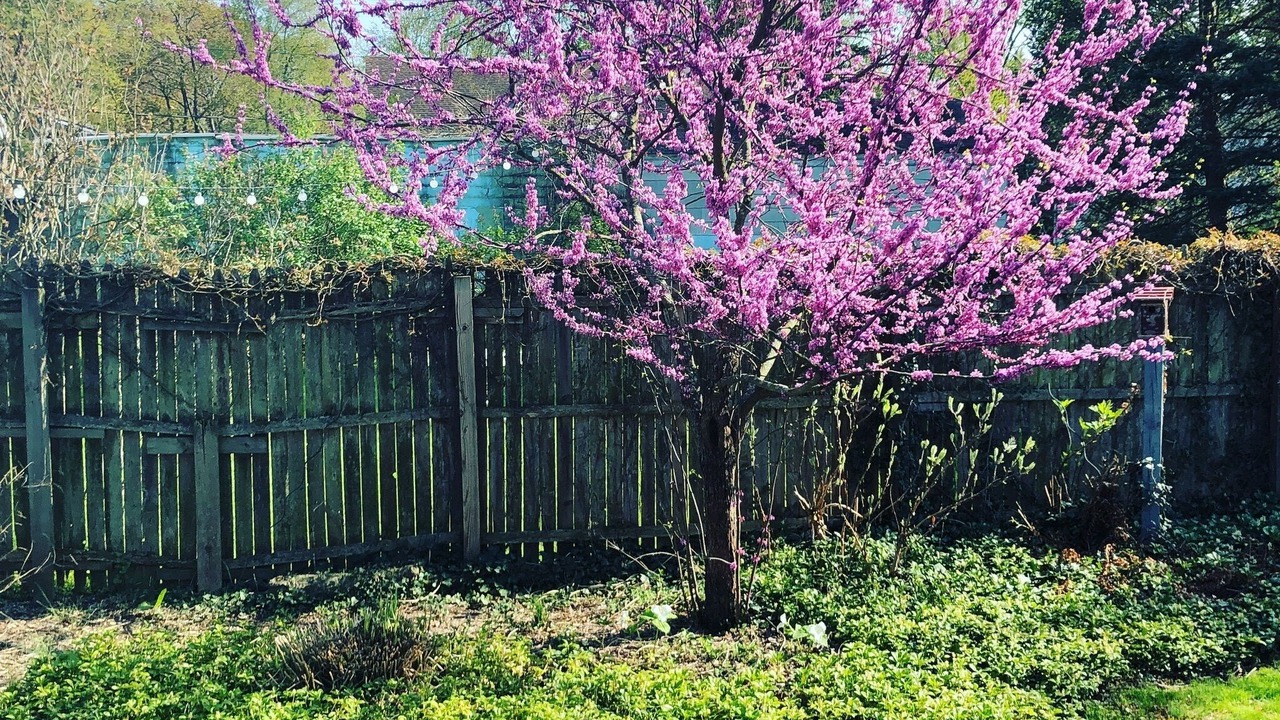 Photo of Outdoor in Lakeside