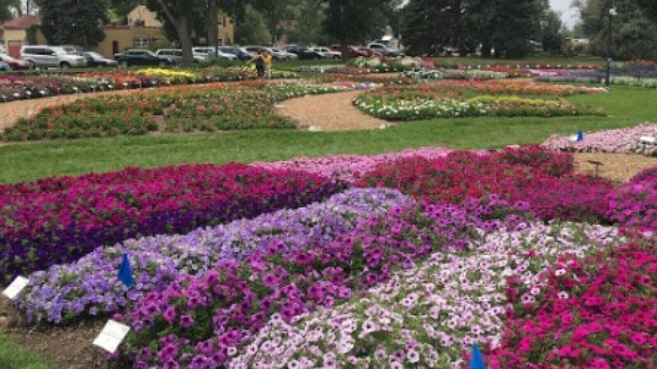 Photo of Outdoor in University North