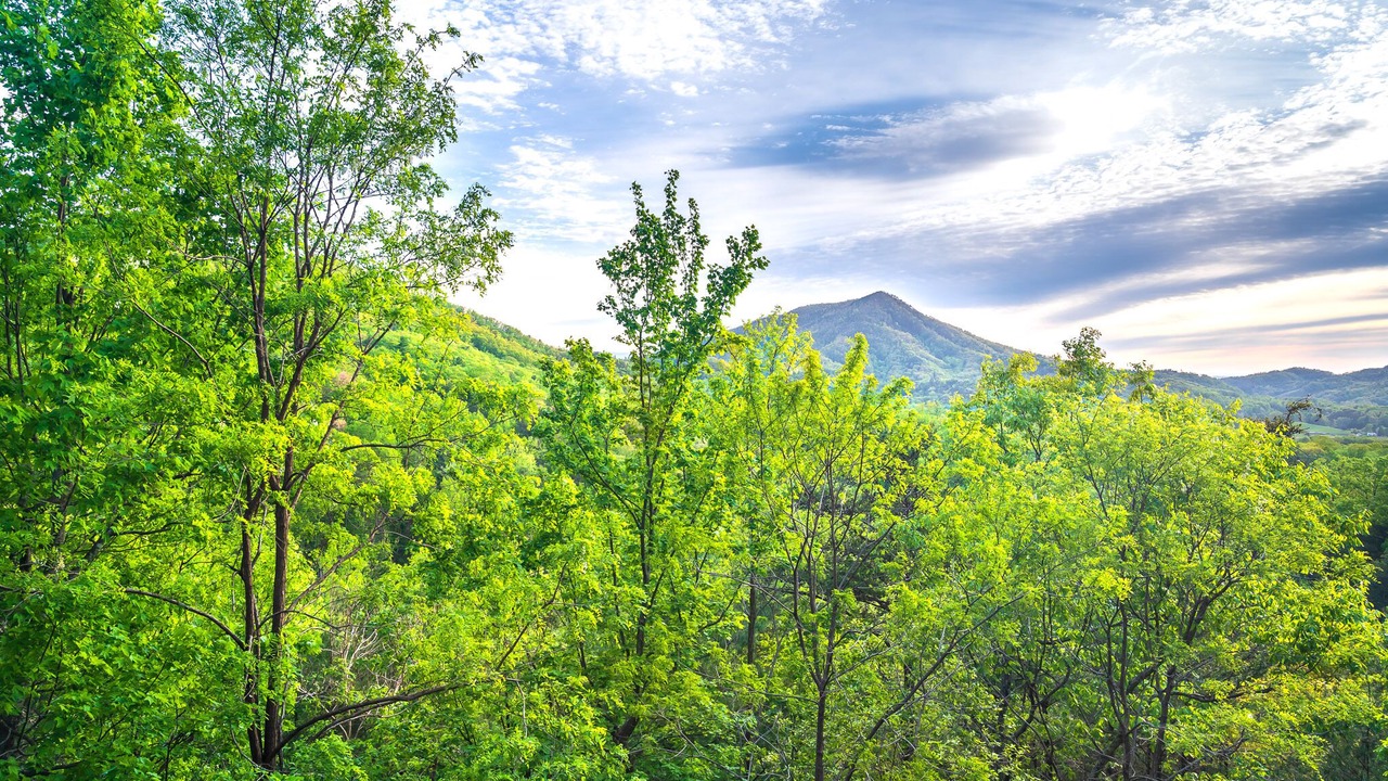 Photo of Outdoor in Sevierville