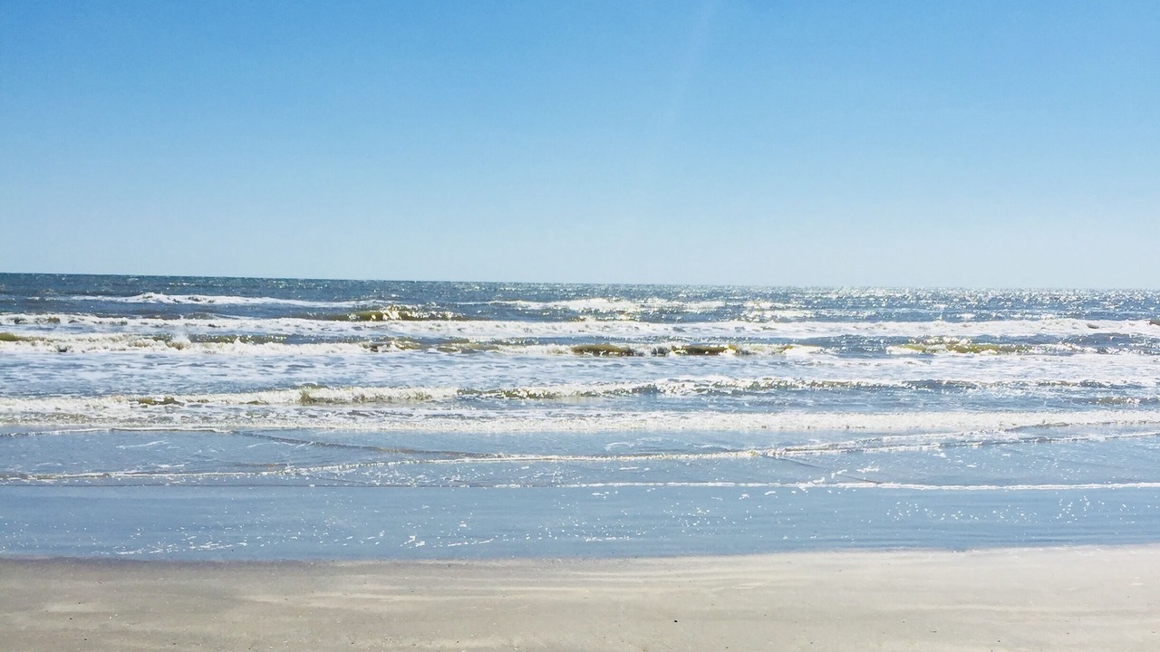 Photo of Others in Galveston