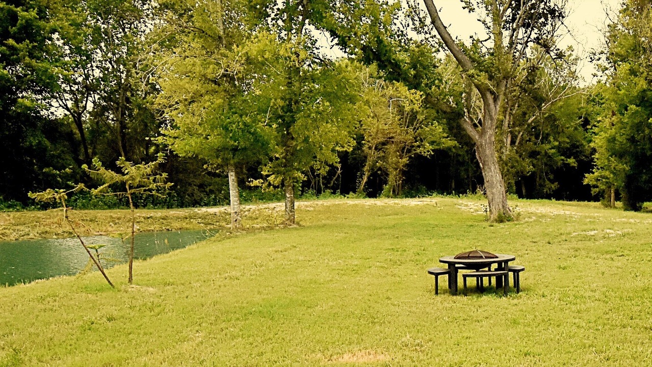Photo of Outdoor in Manvel
