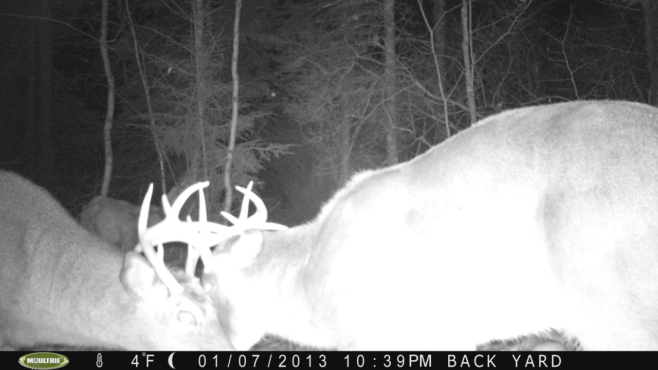 Photo of Others in Bar Harbor