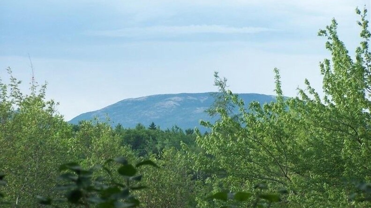 Photo of Others in Bar Harbor