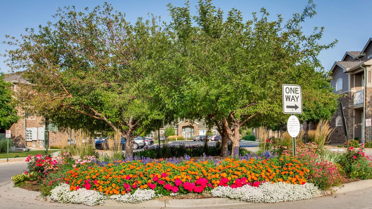 Photo of Outdoor in Englewood