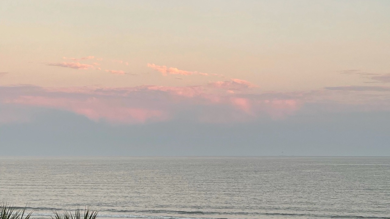 Photo of Others in Galveston