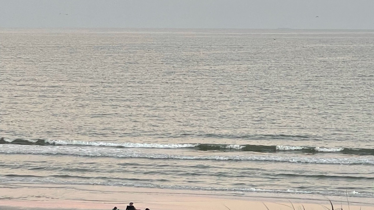 Photo of Others in Galveston