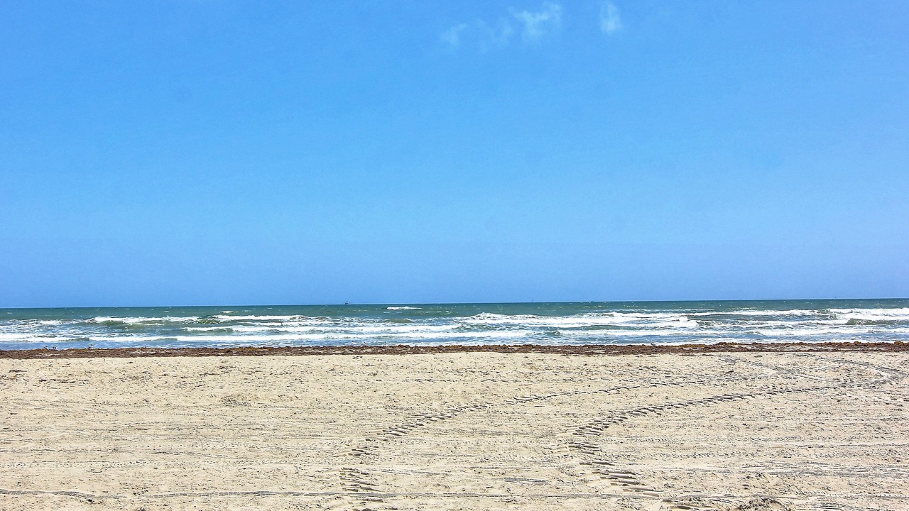 Photo of Others in Port Aransas