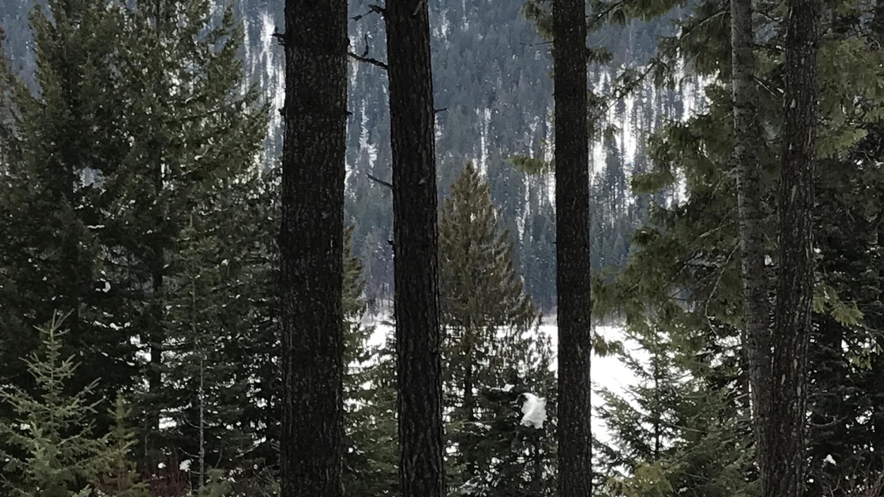 Photo of Others in Leavenworth