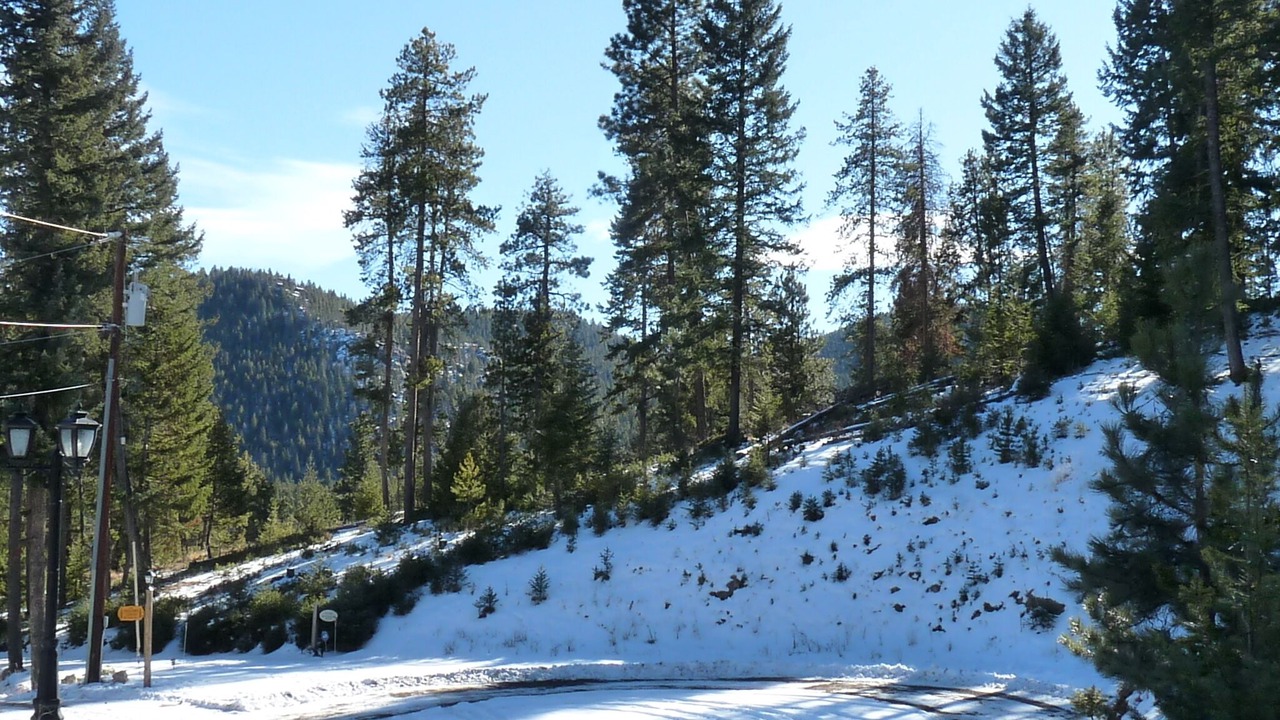 Photo of Others in Shadow Mountain